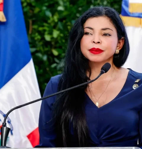 Yeni Berenice: “Memes y parodias no son delitos”