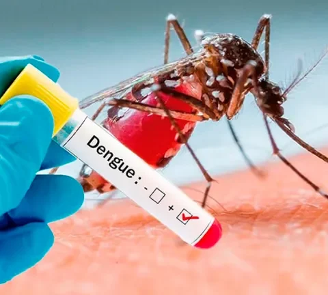 Se eleva el número de casos positivos de dengue en territorio nacional