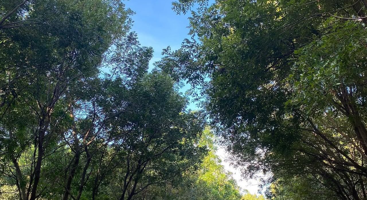 Reabren Parque del Este y el Centro Olímpico JPD tras los juegos