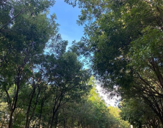 Reabren Parque del Este y el Centro Olímpico JPD tras los juegos