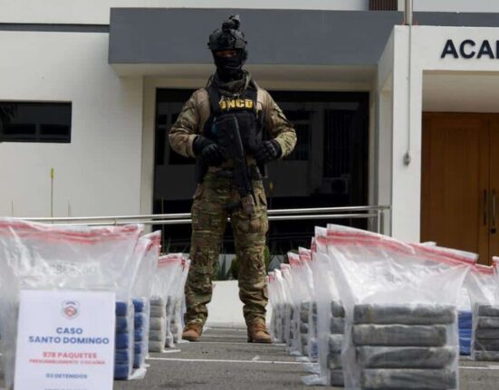 Incautan 1.3 toneladas de cocaína y 30 bloques de marihuana en las costas de Baní