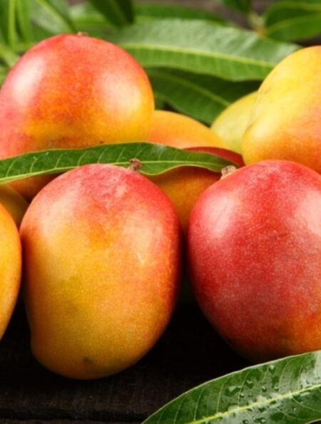 mangos