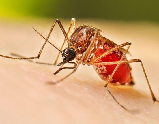 RD mantiene indicadores favorables en enfermedades priorizadas: baja malaria, dengue en zona de éxito y cólera sin casos notificados