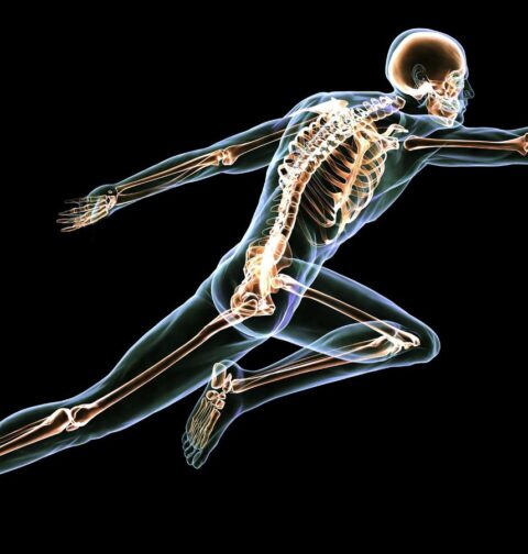 La salud de los huesos después de los 30 años: ejercicio, nutrición y otros factores que pueden protegerlos