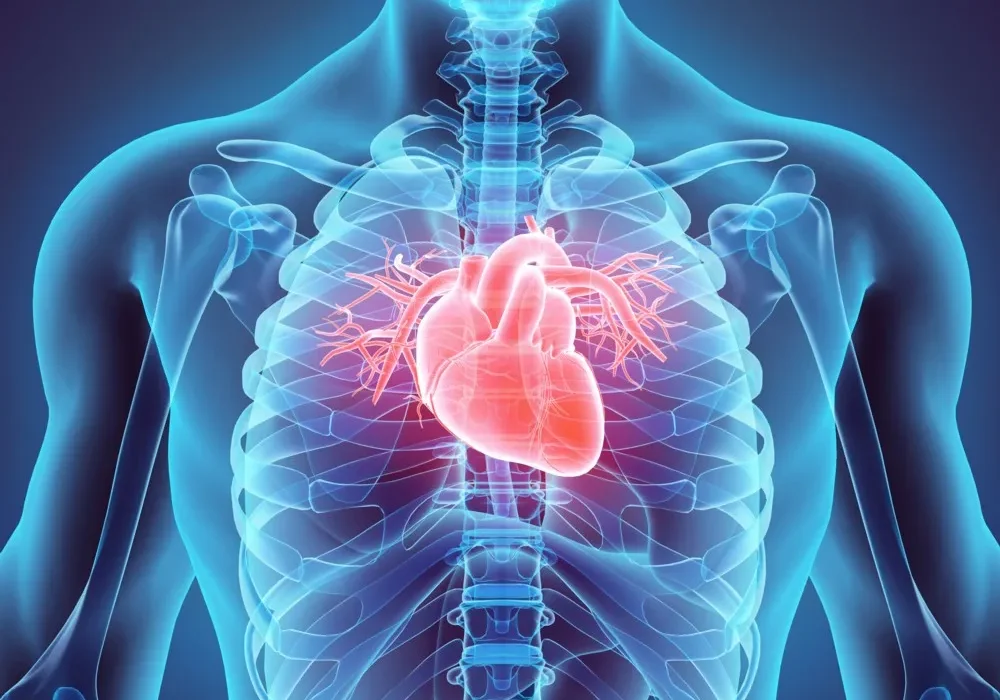 80% de afecciones al corazón son prevenibles