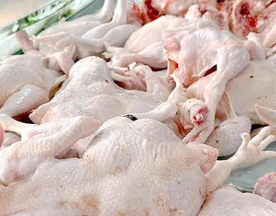 Producción fortalece oferta y favorece precios del pollo desde RD$70 y RD$85