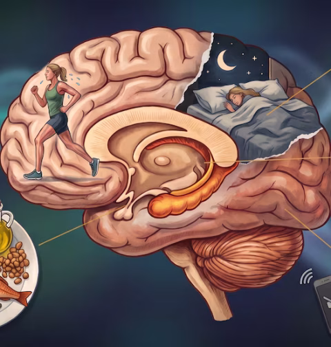 1. Combinar ejercicio aeróbico con entrenamiento de fuerza La actividad física es una de las herramientas que pueden ayudar a mantener las capacidades cognitivas. Masurkar destacó especialmente el ejercicio aeróbico, que comprende actividades como caminar a paso rápido, correr, nadar o andar en bicicleta. Estas prácticas fortalecen el sistema cardiovascular y favorecen la circulación sanguínea hacia el cerebro.