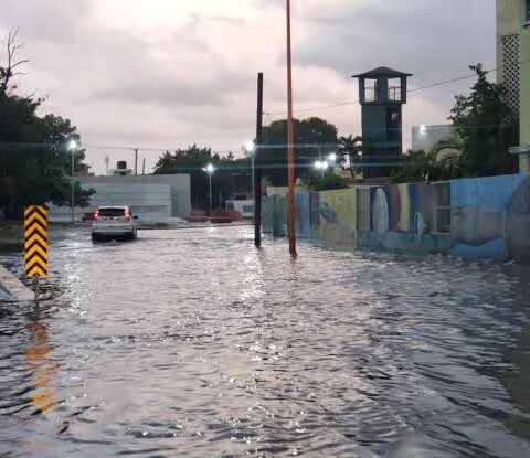 COE eleva a 12 las demarcaciones en alerta amarilla por lluvias